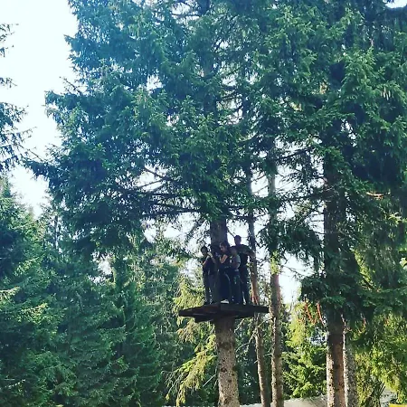 Iva Apartman Nova Varoš