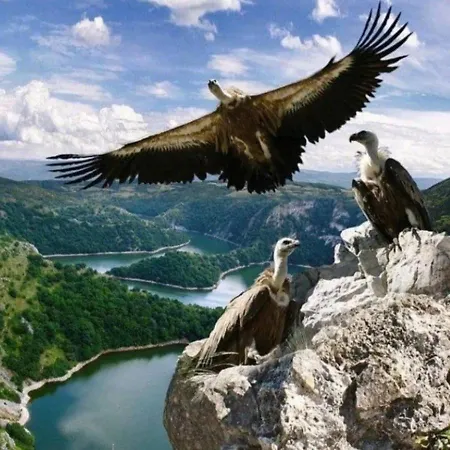 Apartman Iva Nova Varoš