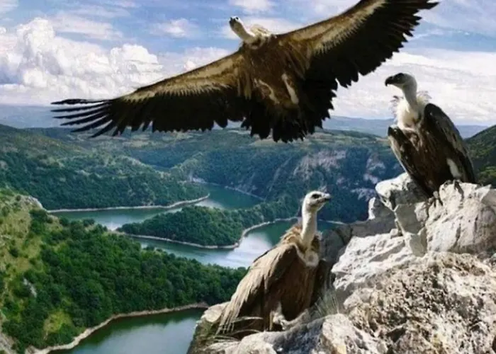 公寓 Iva Nova Varoš